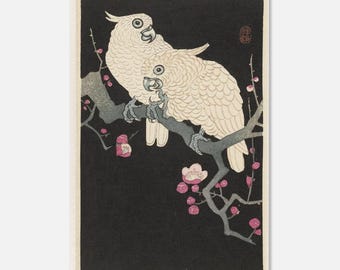 Poster con cacatua giapponesi e fiori di pruno – Arte vintage asiatica con uccelli, stampa zen della natura, decorazione floreale rosa, arte murale giapponese
