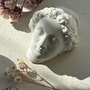 Könnte beinhalten: Eine weiße Gips-Skulptur eines klassischen Frauenkopfes mit detailliertem Lockenhaar und ruhigen Gesichtszügen. Getrocknete Blumen in Rosa- und Beigetönen sind um die Skulptur angeordnet und bilden eine weiche, künstlerische Komposition.