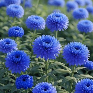 May include: A field of vibrant blue flowers with layered petals and dark green stems. The flowers are in full bloom, creating a dense, textured display. The background is a soft, blurred green, enhancing the focus on the flowers.