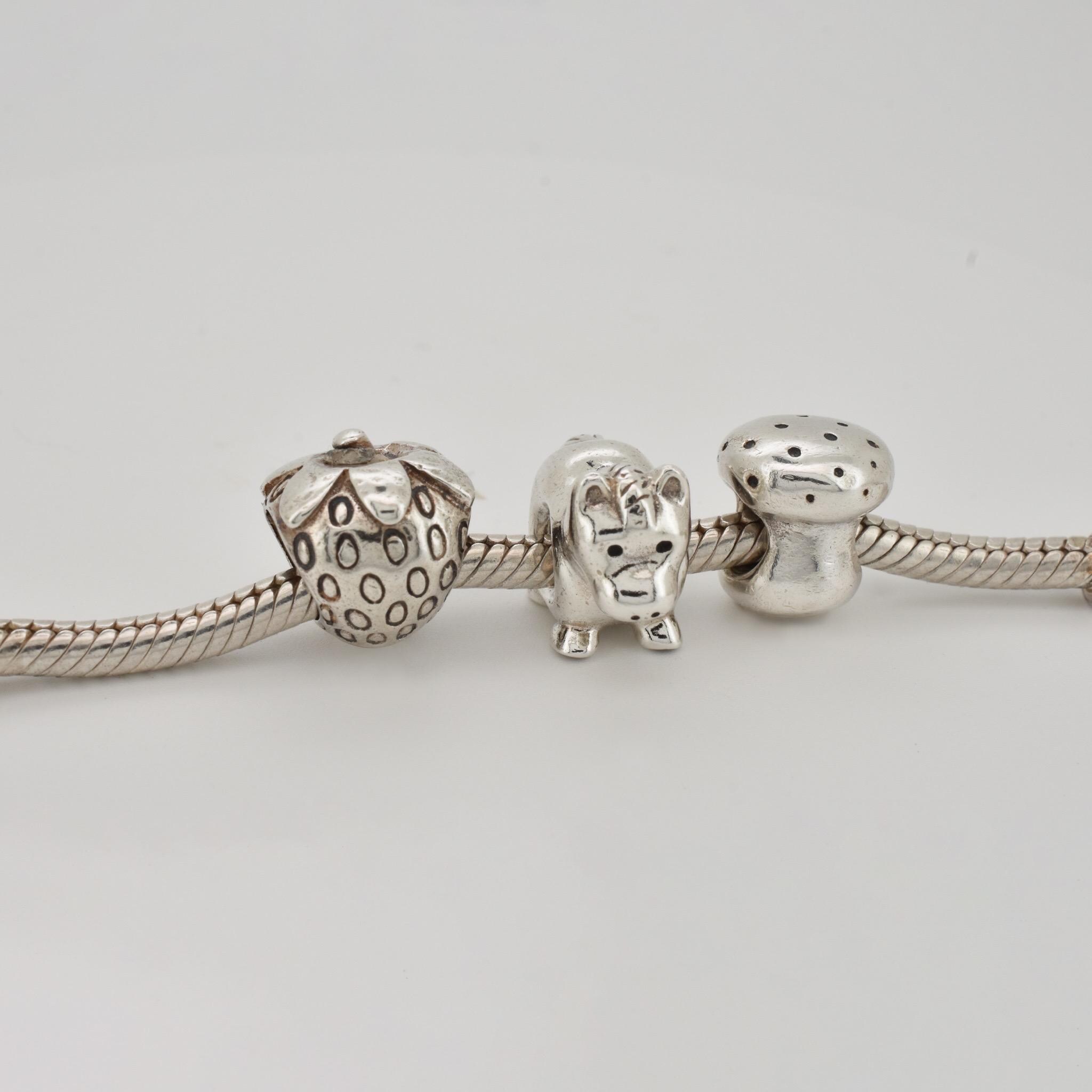 Rare pandora charm - Etsy 日本
