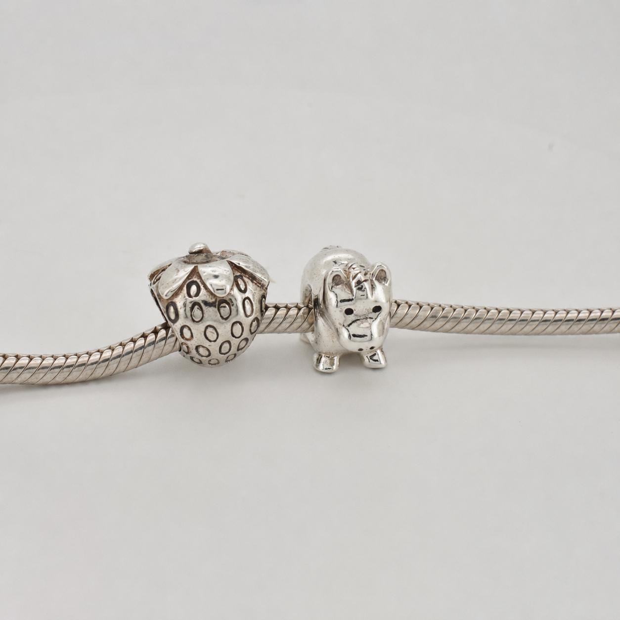 Rare pandora charm - Etsy 日本