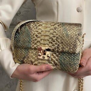 May include: A rectangular handbag with a gold chain strap and a gold clasp. The bag has a snakeskin pattern in shades of gold, brown, and teal. The clasp is rectangular with a gold finish. The bag is held by a person wearing a cream-coloured blazer.