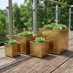 Pode incluir: Um conjunto de quatro vasos quadrados de metal dourado com textura martelada. Cada vaso contém uma planta suculenta verde com pequenas flores amarelas. Os vasos estão dispostos por ordem de tamanho numa superfície de madeira.