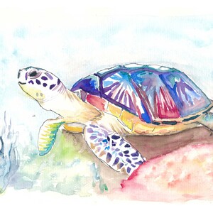 Aquatic Wanderer: A Watercolor Tribute to the Turtle - Édition limitée Fine Art Print - Peinture originale disponible