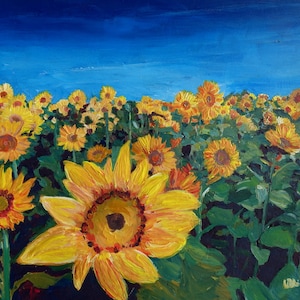 Beautiful Morning At Sunflower Fields