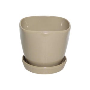 Può includere: Un vaso per piante in ceramica color beige chiaro, liscio, con apertura quadrata e angoli arrotondati, abbinato a un sottovaso circolare coordinato. Il contenitore presenta una finitura lucida e un design semplice per piante.