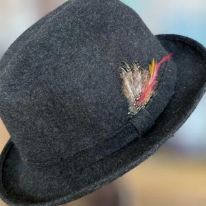 May include: A dark gray fedora hat with a decorative feather accent. The hat features a small brim and a band around the crown. The feather accent includes red, yellow, and brown feathers.
