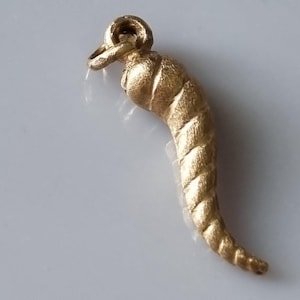 May include: A gold-colored pendant shaped like a curved horn or chili pepper with a textured, matte surface. The pendant features a rounded top section and a tapered, spiraled body that ends in a point, complete with a small circular jump ring at the top.
