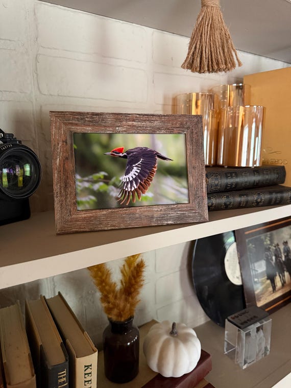 Pileated Woodpecker Print + Frame FREE handmade mystery keychain