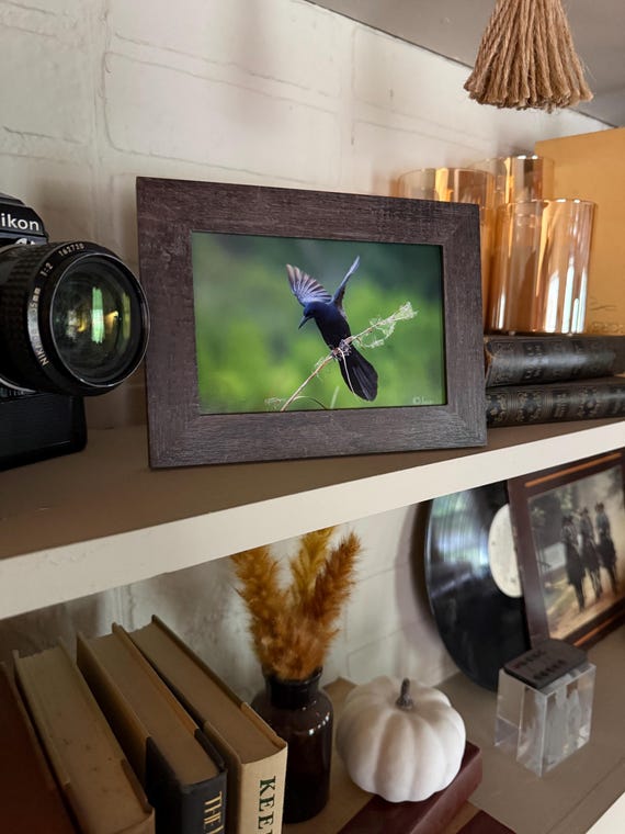 Slender Billed Grackle print + Frame FREE handmade mystery keychain