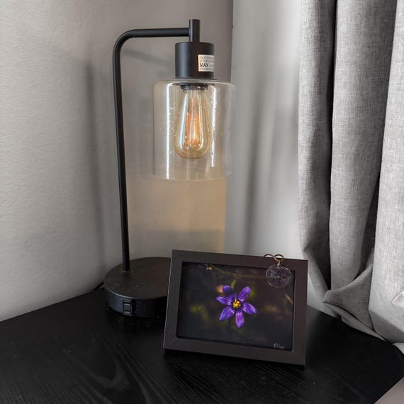 Blue Eyed Grass Flower Resin Necklace + Framed Macro Photo