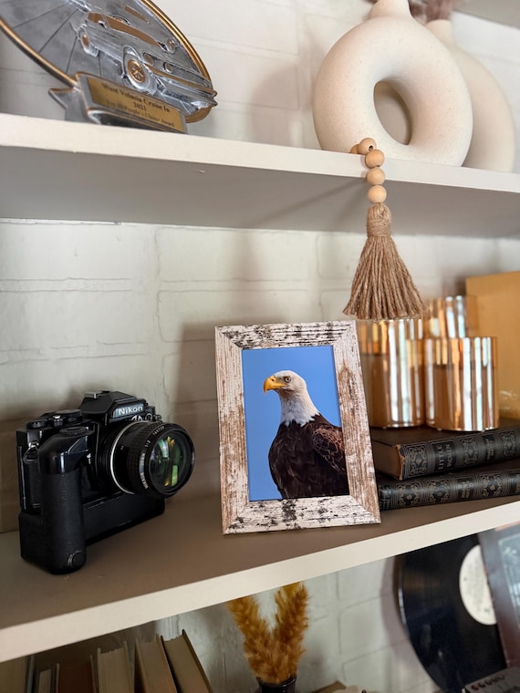 Bald Eagle Print + Frame FREE handmade mystery keychain