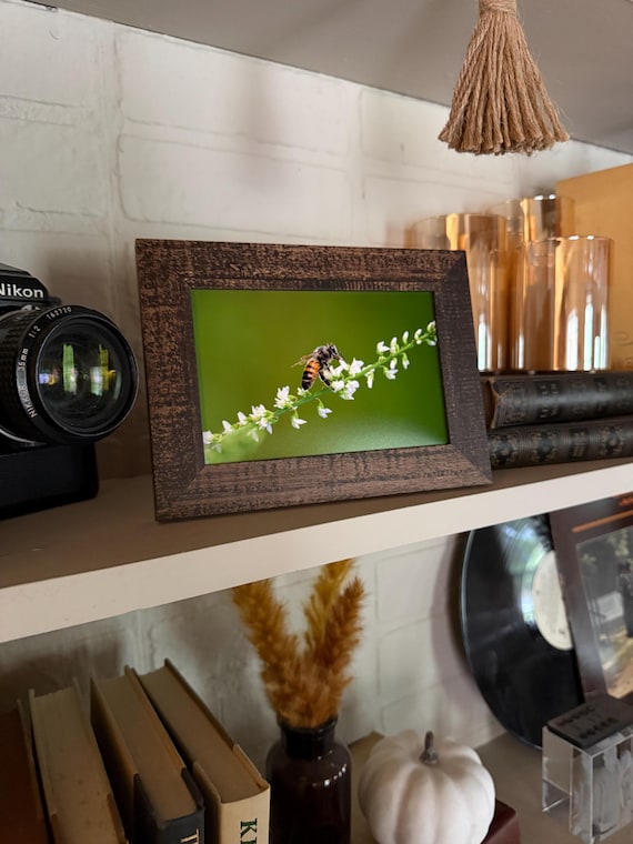 Honey Bee Print + Frame FREE handmade mystery keychain