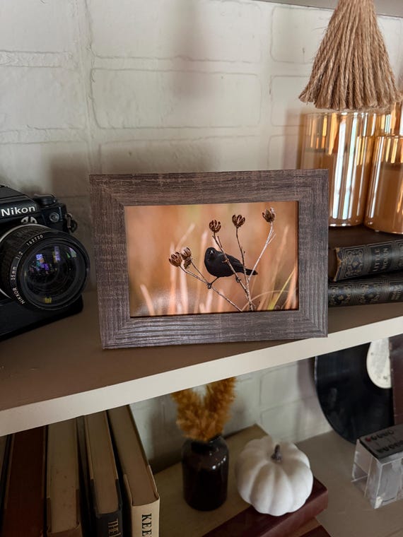 Red winged black bird + Frame FREE handmade mystery keychain