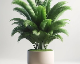 22 zaden van de kamerpalm | Chamaedorea Elegans | Meerjarige kamerboom