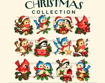 Vintage kerstvogels PNG-clipart, 12 retro kerstvogelontwerpen, kardinaal, blauwe gaai, mees, kerstknutselwerk, ornamenten, sublimatie