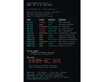 Funny Nmap Scan Linux Hacker Poster, Sysadmin Terminal Wall Art, Cybersecurity Programmer Gift, Network Security IT Geek Office Decor