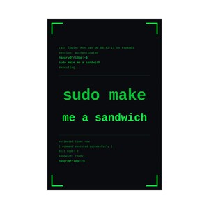 Funny linux programmer poster, sudo make me a sandwich terminal wall art print, sysadmin hacker gift poster, command line coder office decor image 6