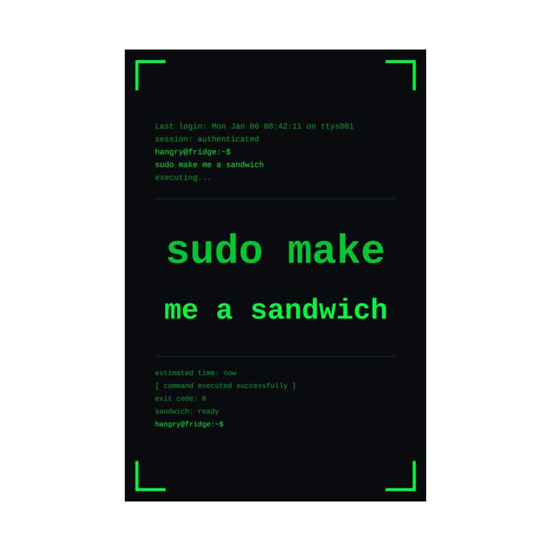 Funny linux programmer poster, sudo make me a sandwich terminal wall art print, sysadmin hacker gift poster, command line coder office decor image 6