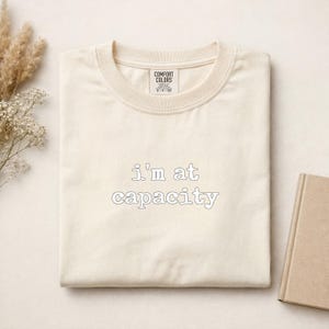 Jag är vid kapacitet komfortfärger t-shirt, relaterbar överväldigad t-shirt, mental belastning present, rolig introvert t-shirt, utbrändhet självvårdstopp