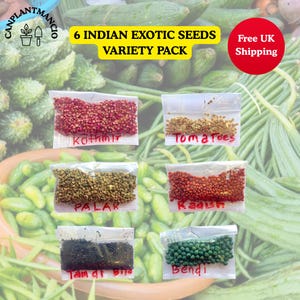 Paquet de 6 graines de légumes indiennes exotiques Graines de jardin faciles à cultiver