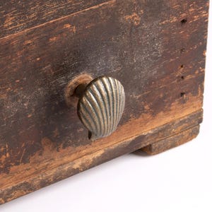 Shell Knob, Antique Brass Finish, Coastal Seashell Drawer Knob