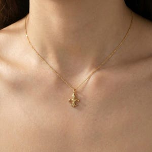 Op de afbeelding: Een goudkleurige ketting met een fleur-de-lis hanger. De hanger, een gestileerde irisbloem, is een symbool van de Franse koninklijke familie. De ketting wordt om de nek gedragen.