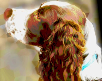Custom English Springer Spaniel Digital Painting