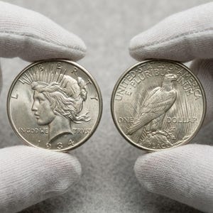 Liberty silver one dollar - Etsy 日本