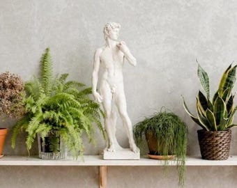 Michelangelo David Statue, Greek Sculpture Decor, White Aesthetic Figurine, Renaissance Art, Dark Academia Decor, Home Office Desk Statue