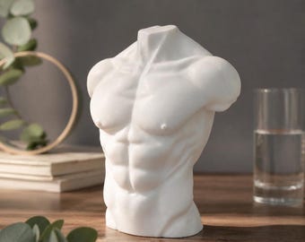Male Torso Statue, Body Sculpture Decor, White Aesthetic Sculpture, Modern Minimalist Decor, Greek Style Bust, Art Figure Home Decor