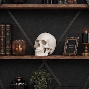May include: A white skull sits on a wooden shelf, part of a decorative display. Other items include a framed picture with the text "AMOR FATI", a lit candle, and decorative books. The shelf is part of a dark, gothic-themed interior.