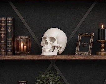 Realistic Human Skull Replica White Anatomical Skull Decor - Gothic Home Ornament, Dark Academia Aesthetic, Medical Student Gift, Halloween