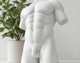 Naked Men Torso Sculpture, White Greek Roman Statue, Male Nude Art, LGBTQ, Gay Decor, Queer Home Decor, Muscular Body Figurine, Gym Decor