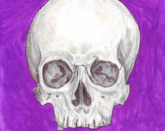 Skull 8x8 print of original watercolor painting