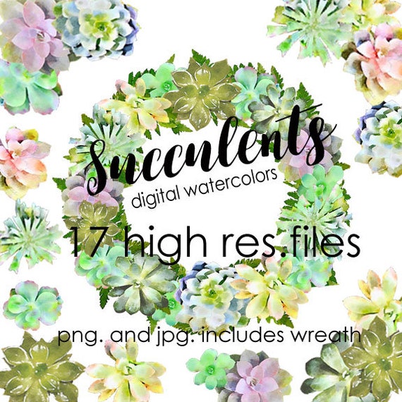 Digital Watercolor Succulents Clipart Transparent Succulent | Etsy