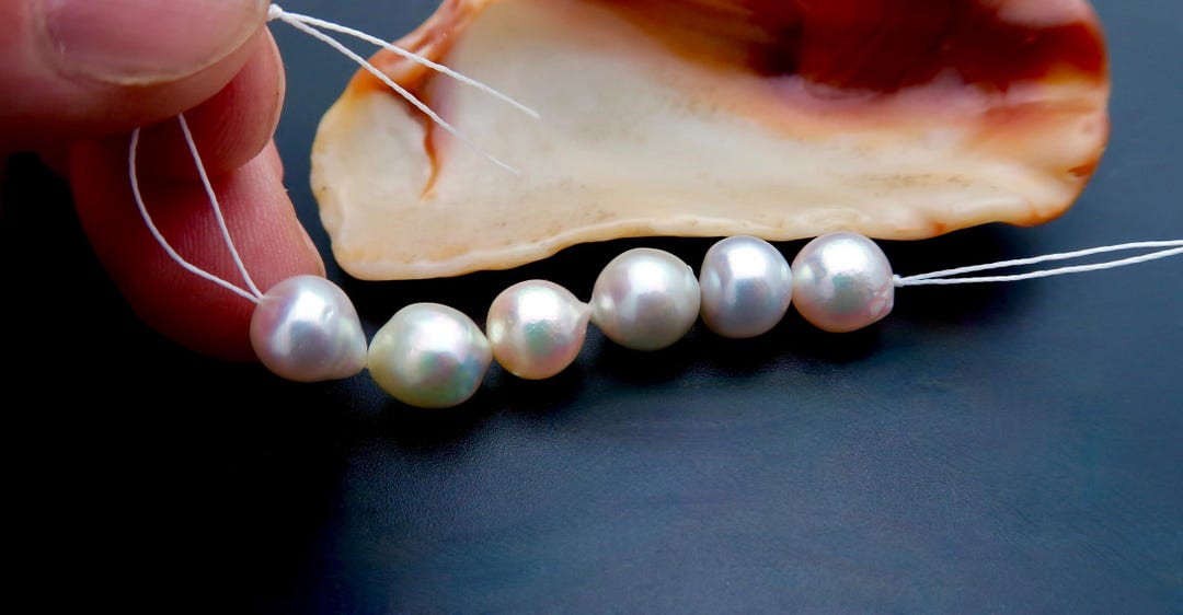 6pc Rare AA+ Japanese Akoya Baroque Cream Silver Gold Blue+ WILD ...