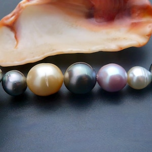 7pc Exquisite Mixed Pearl Set; Tahitian, South Sea, Akoya & Freshwater Pearls - 63.85 cts - NATURAL COLORS
