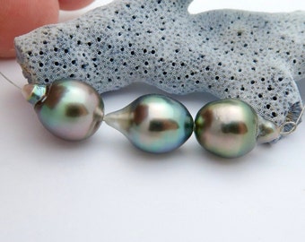 Incredible Bright Colors Rikitea Mangareva Gambier Cultured Pearls, Rare Location! 3pc 9.5-9.7mm - 21.05cts