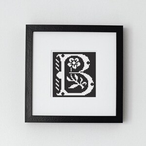 May include: A framed black and white print featuring the letter "B" in a decorative, pixelated style. The letter is adorned with floral and leaf motifs. The artwork is set against a black background and framed in a black square frame with a white mat.