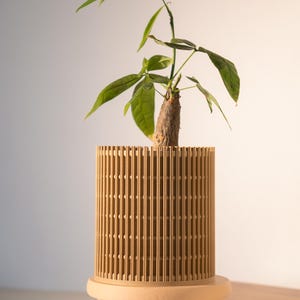 Könnte beinhalten: Eine kleine grüne Pflanze mit langen Blättern in einem zylindrischen, hellbraunen Holztopf. Der Topf hat vertikale Lamellen und steht auf einem passenden Holzständer mit vier kurzen Beinen. Der Hintergrund ist eine weiche, neutrale Farbe.