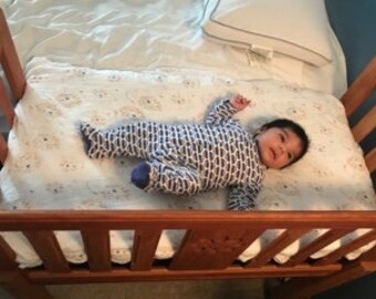 rosette sidecar baby bed