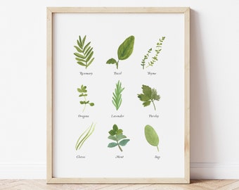 Kitchen Herbs Watercolor Art Print - Rosemary Basil Thyme Mint Sage Chives Lavender home decor wall artwork greenery botanical garden