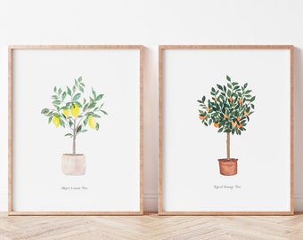 Set of 2 Navel Orange Tree and Meyer Lemon Tree Citrus Fine Art Prints - Artwork modern watercolor illustration fruit boho home decor