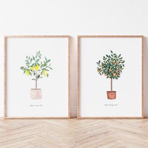 Set of 2 Navel Orange Tree and Meyer Lemon Tree Citrus Fine Art Prints - Artwork modern watercolor illustration fruit boho home decor