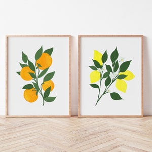 Set of 2 Navel Oranges and Meyer Lemon Citrus Fine Art Prints - Orange Artwork modern watercolor illustration fruit yellow boho home decor