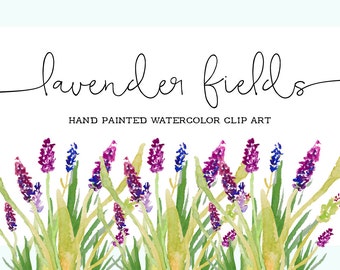 Lavender Fields Hand Painted Watercolor Clipart Clip Art - Personal and Commercial Use blossom purple indigo lilac dainty flowers wedding