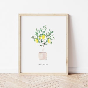 Meyer Lemon Tree Watercolor Art Print - 8x10 home decor wall artwork office modern trendy lemons greenery kitchen office botanical garden