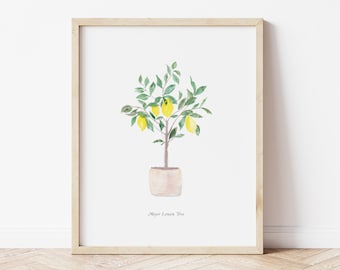 Meyer Lemon Tree Watercolor Art Print - 8x10 home decor wall artwork office modern trendy lemons greenery kitchen office botanical garden