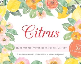 Citrus Lemon Watercolor Clipart - Personal Commercial Use peony rose flowers floral wreath garden pink yellow orange pink summer